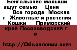 Бенгальские малыши ищут семью) › Цена ­ 5 500 - Все города, Москва г. Животные и растения » Кошки   . Приморский край,Лесозаводский г. о. 